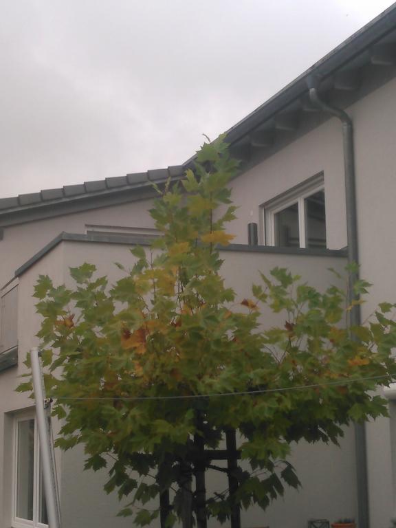 Ferienwohnung Zum Kletterturm Kaufbeuren Dış mekan fotoğraf